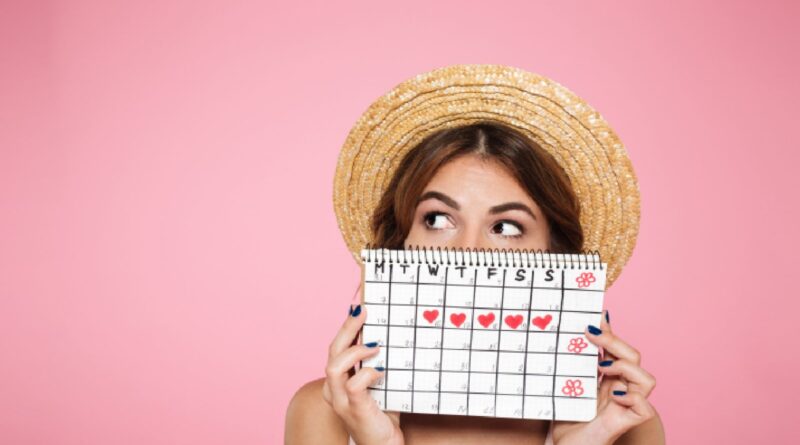 Fase folicular: o que saber sobre esta fase do ciclo menstrual