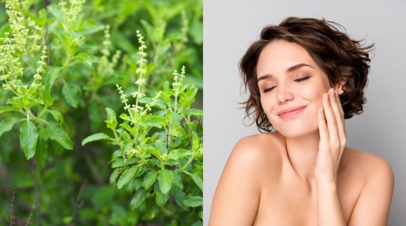 Tulsi para a pele: 5 maneiras fáceis de obter brilho natural semelhante a vidro