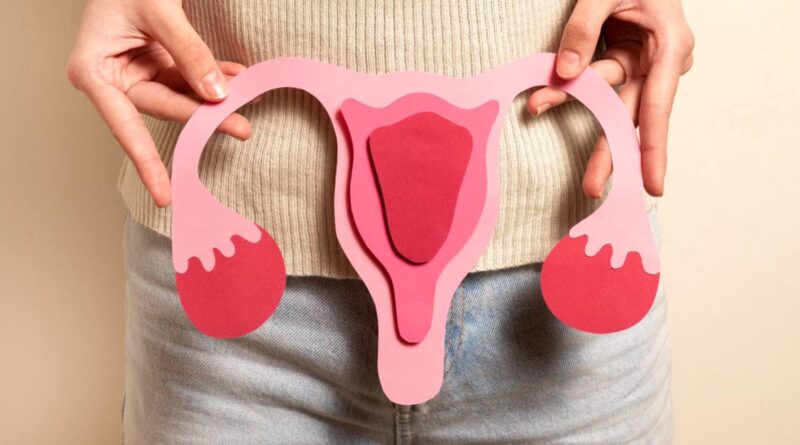 Higiene menstrual mundial Dia de 2025: como é um período saudável