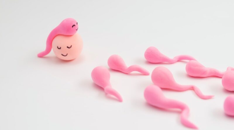 7 mitos sexuais quebrados por um especialista em fertilidade para casais