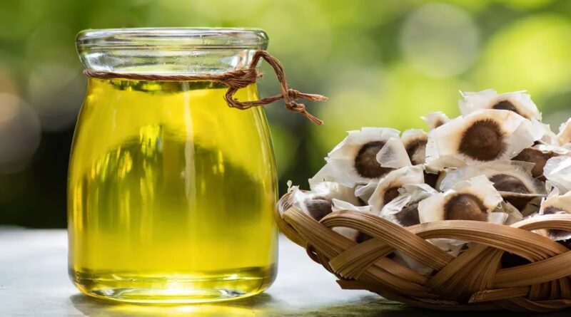 Óleo de Moringa para cabelos: benefícios, efeitos colaterais e dicas para usar