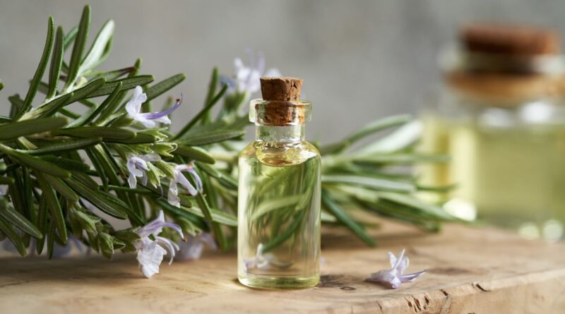 Rosemary-Oil-for-Hair-Growth-top-6-Picks-to-Reduce Hair-Fall | Fotos de saúde