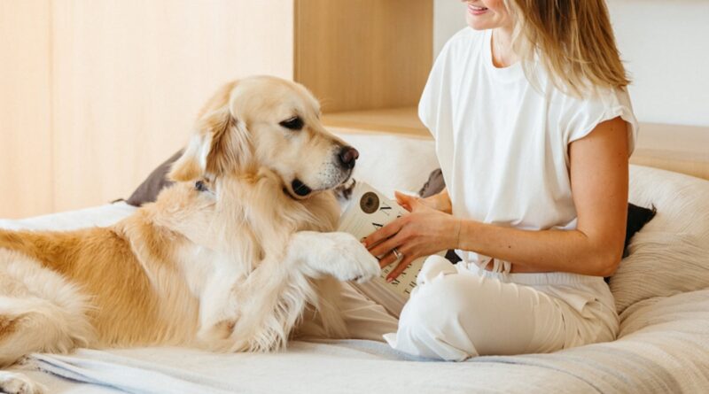 Os melhores livros para ler durante o Twixmas