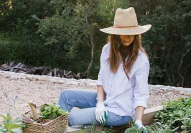 As 5 melhores ervas para cultivar em casa (jardim, plantador ou dentro de casa)