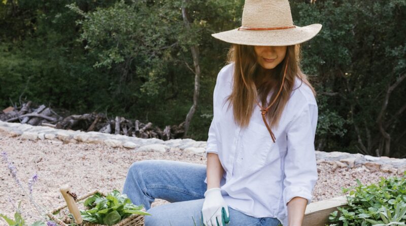 As 5 melhores ervas para cultivar em casa (jardim, plantador ou dentro de casa)