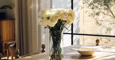 6 áreas de alto impacto para começar
