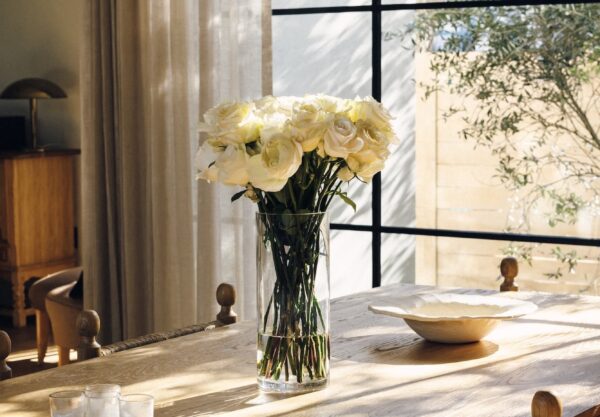 6 áreas de alto impacto para começar