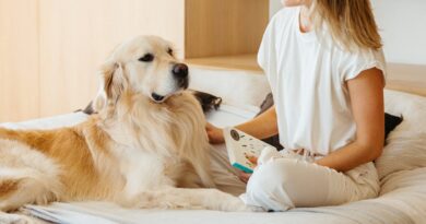 7 hábitos que drenam sua energia, mesmo quando você está fazendo tudo certo
