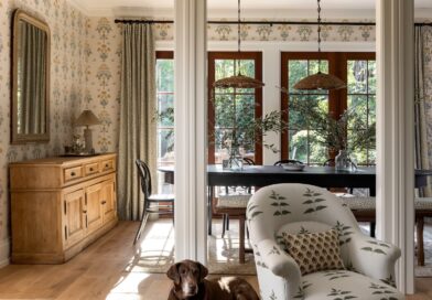 Dog in living room