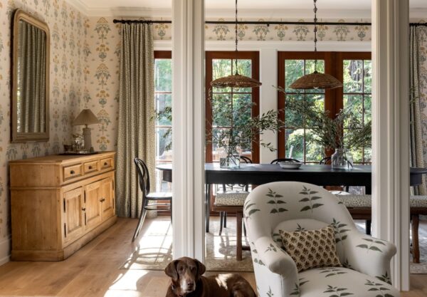 Dog in living room